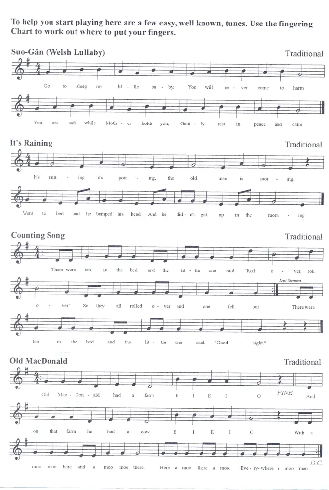 Tinwhistle - Irská flétna CLARKE´S ORIGINAL Ukrajina D